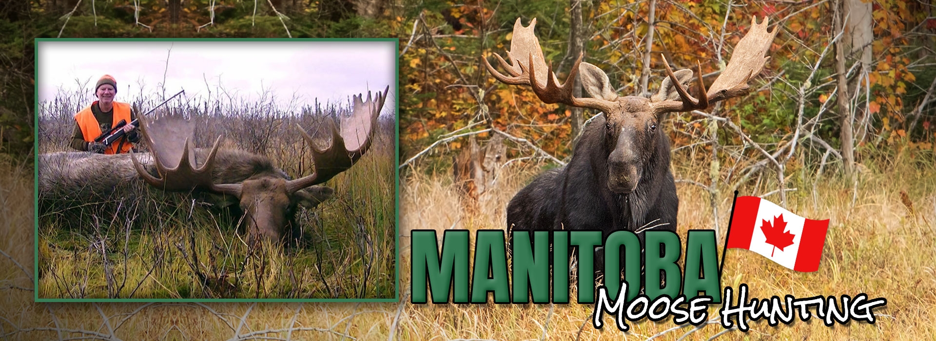 Slide-1-New.jpg Slide-1-New.jpg