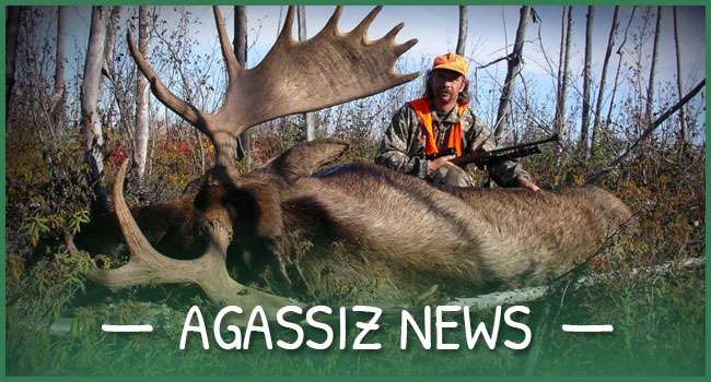 Agassiz News Agassiz News