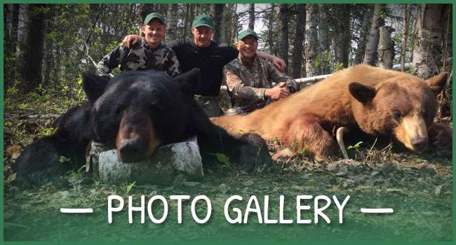 Agassiz Photo Gallery Agassiz Photo Gallery